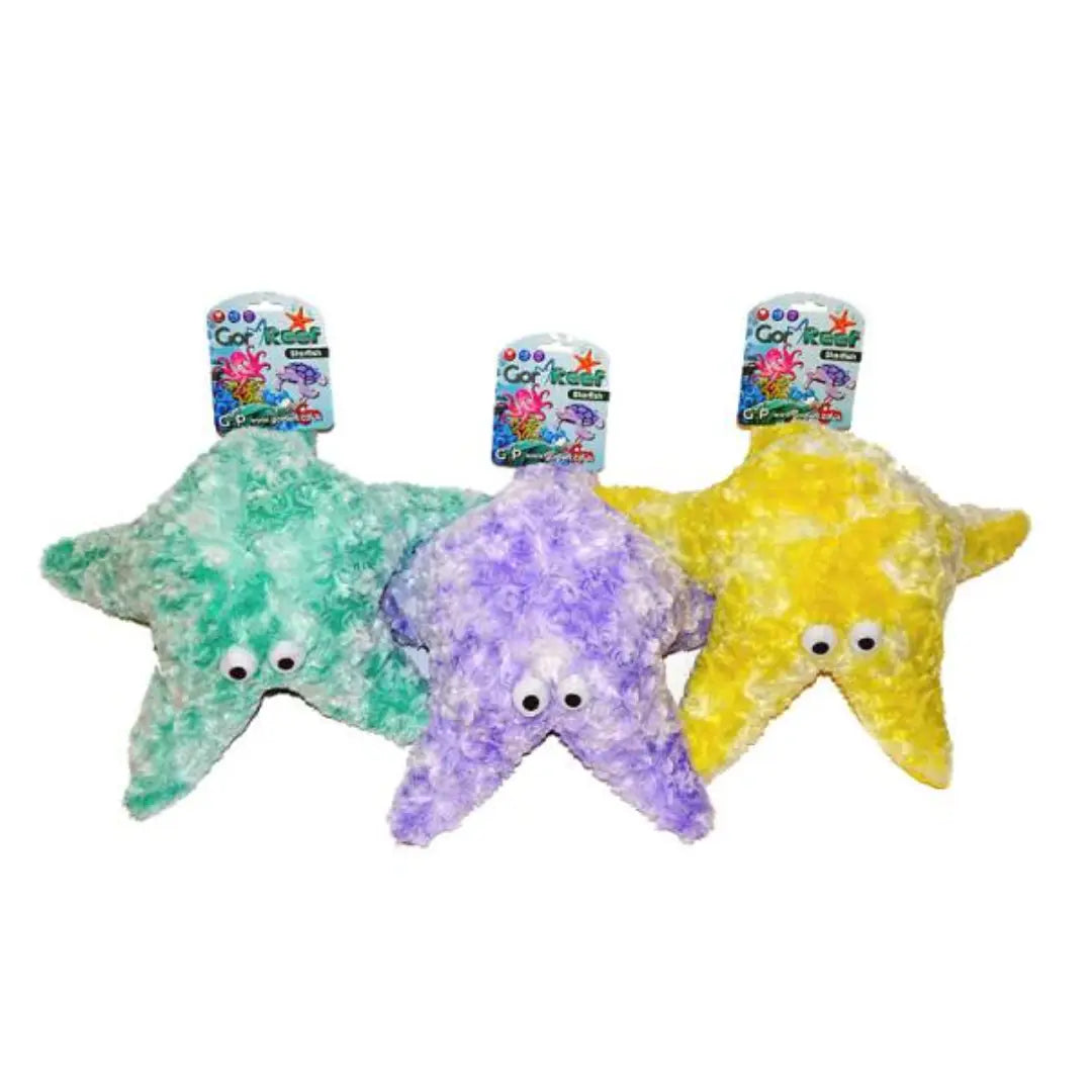 Gor Reef Baby Star Fish
