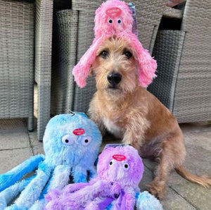 Gorpets Octopus Dog Toy with Squeakers for Interactive Play