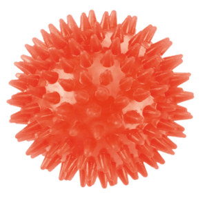 Dog Squeaky Ball Toy