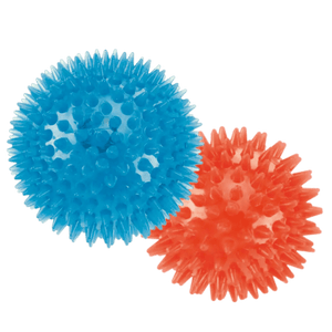 Dog Squeaky Ball Toy