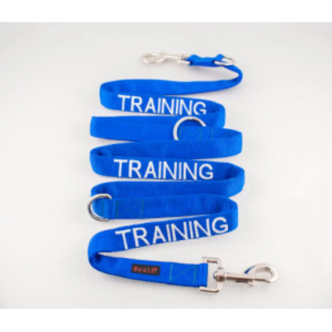 Service Dog Training Lead