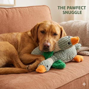 Dog lying on a couch with a knitted duck toy, text 'The Pawfect Snuggle' above.