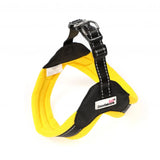 Doodlebone Boomerang Dog Harness