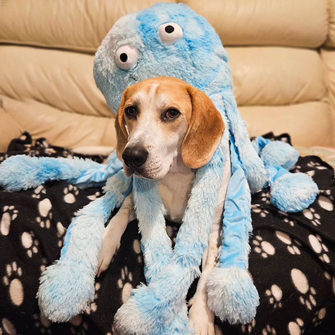 Gorpets Octopus Dog Toy with Squeakers for Interactive Play
