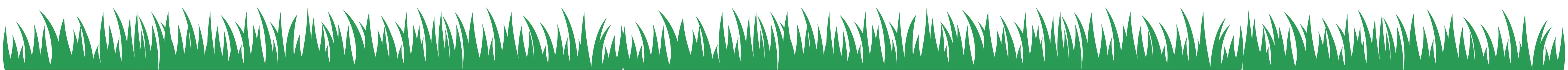 Grass Image - Pawfecthome