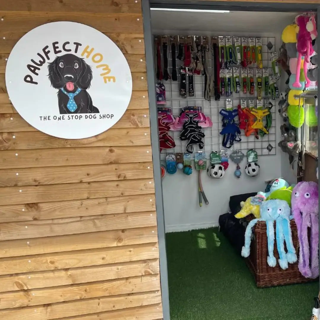 Dog Shop - Pawfecthome