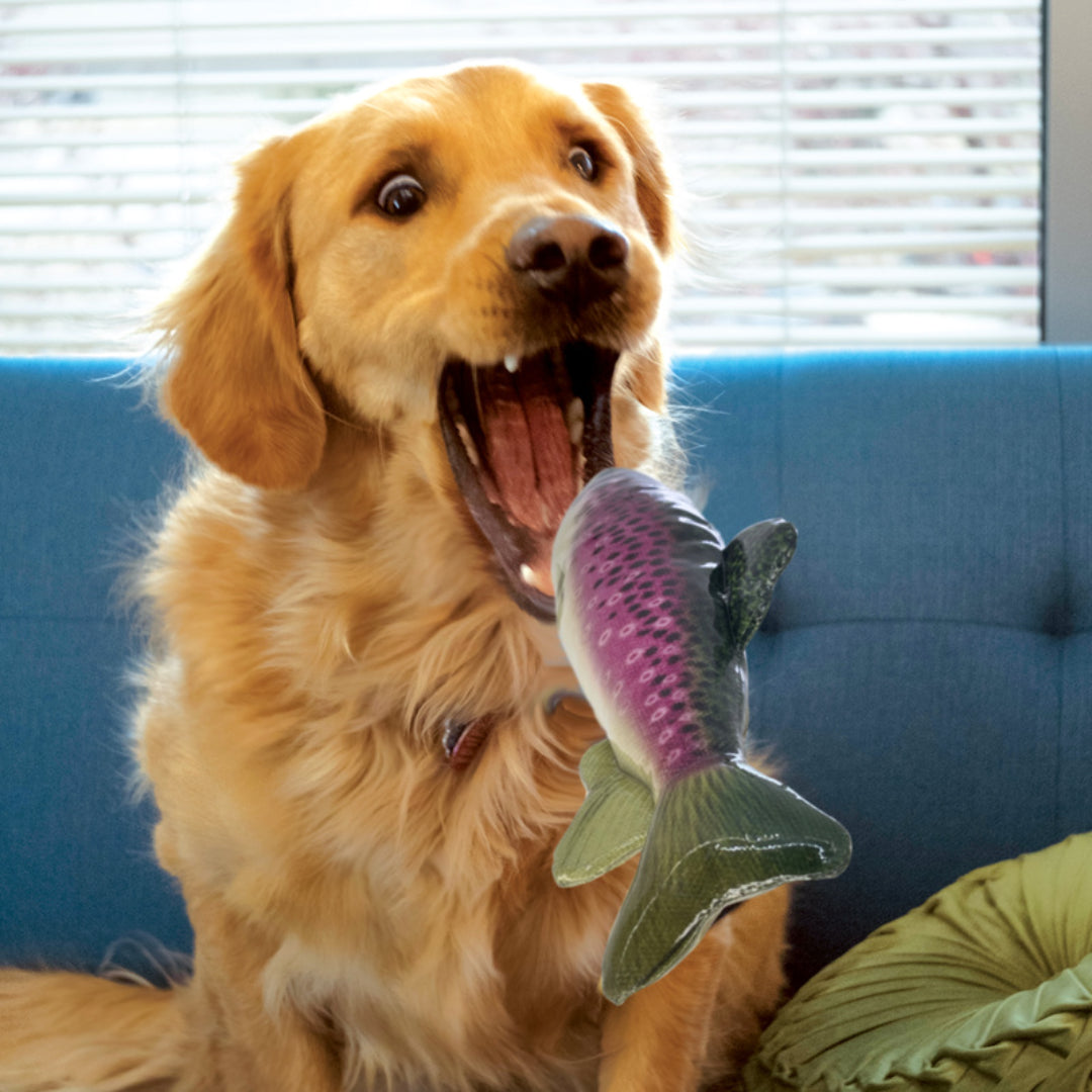 KONG fish dog toy