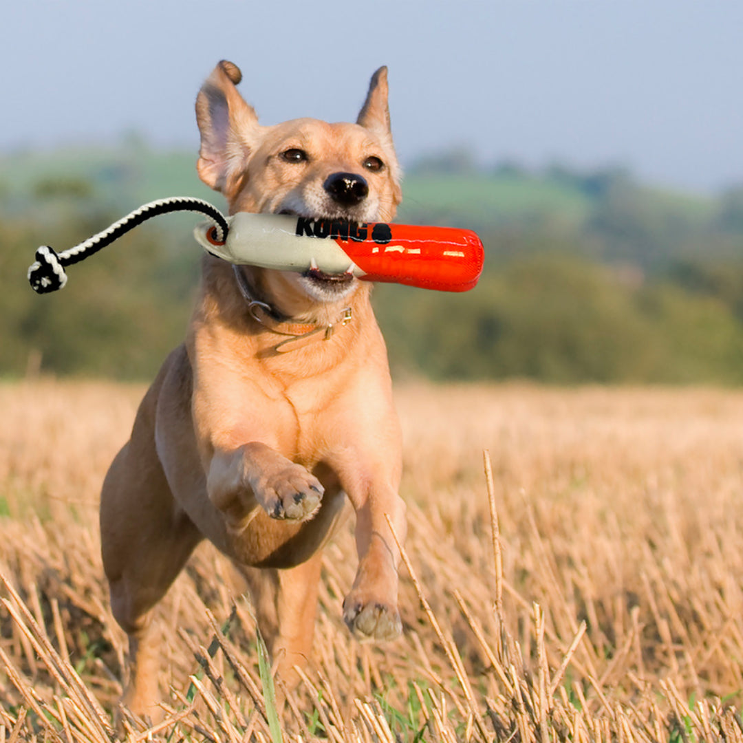 KONG Training Dummy For Dogs