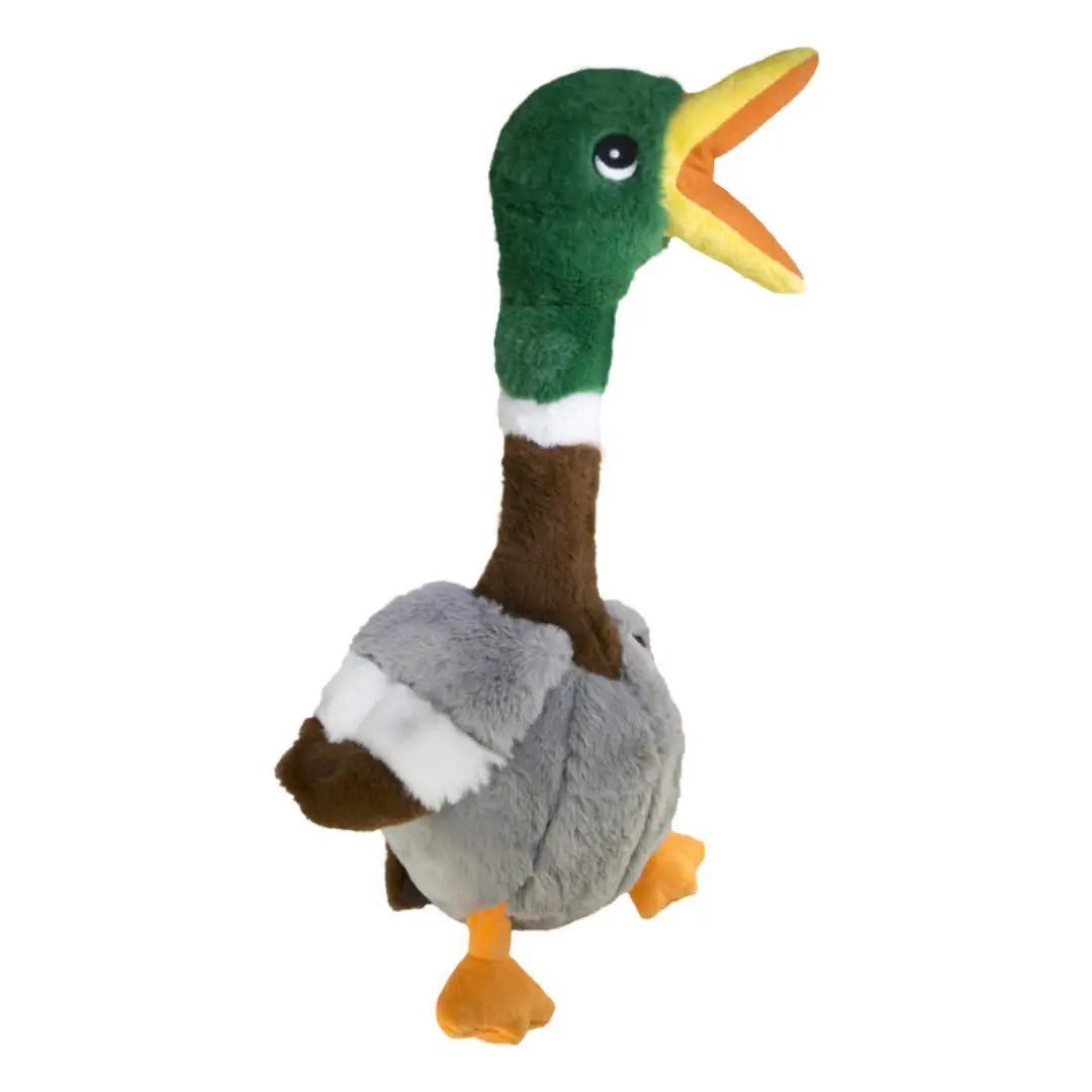 Shakers Honkers Duck - Large