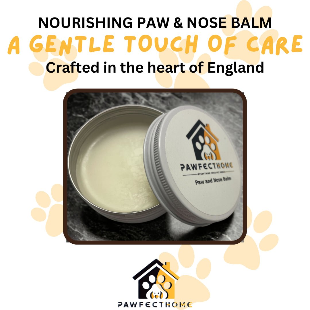 Dog Paw and Nose Balm | Pawfecthome-Pawfecthome
