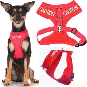 Embroidered 'Caution' Dog Vest Red | Dexil-Pawfecthome