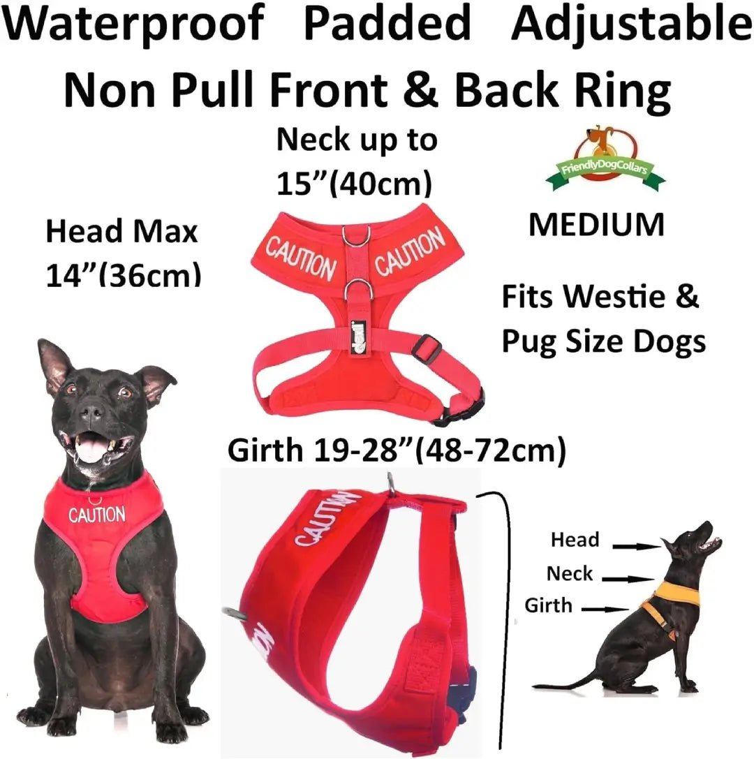 Embroidered 'Caution' Dog Vest Red | Dexil-Pawfecthome