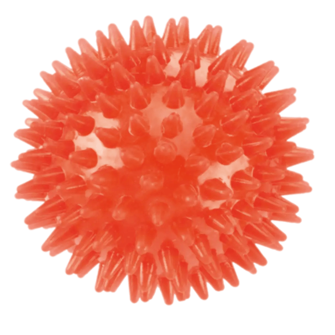 Dog Squeaky Ball Toy