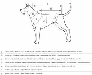Cotton Dog Harness Sizing Chart