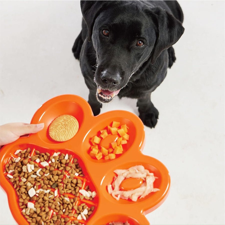 PAW Slow Feeder - Mealtime Solution for Dogs | Pet Dream House-Pawfecthome