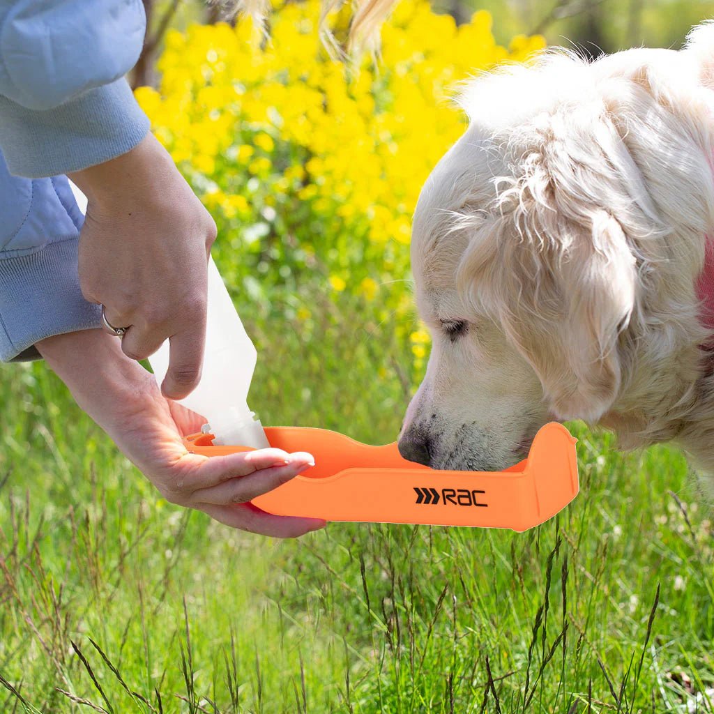 RAC Dog Travel Water Bottle | Pawfecthome-Pawfecthome