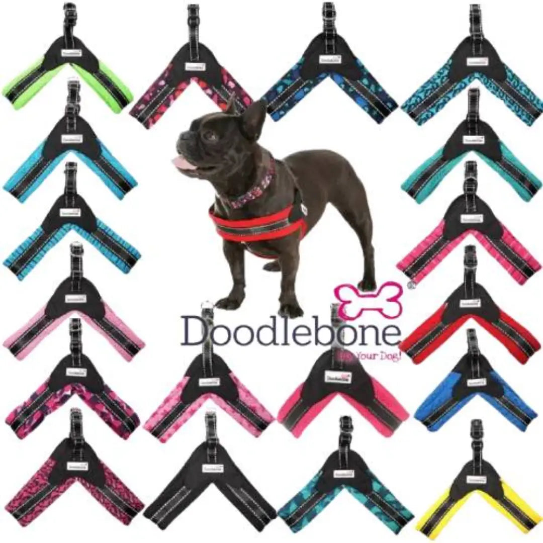 Doodlebone Boomerang Dog Harness